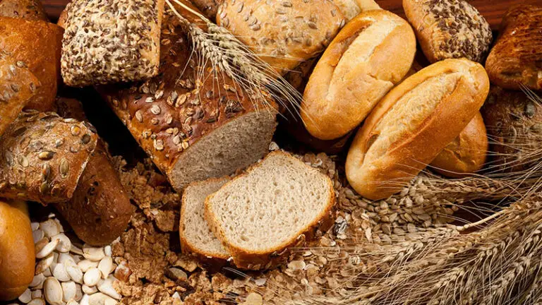 Low Fodmap Bread Brands - ALL FOOD & NUTRITION
