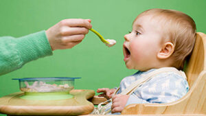 What Did Babies Eat Before Baby Food