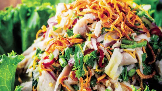 Yum Yum Tree Chicken Salad Recipe